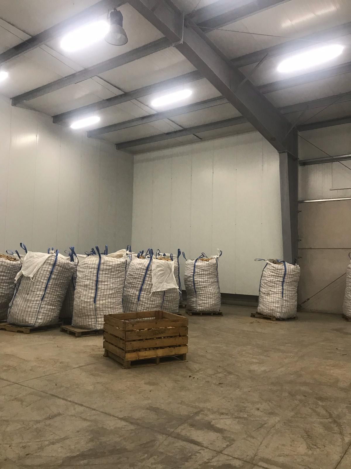 Cámara para conservación de patatas con mínimo consumo: Servicios de Energías Alonso Cámara para conservación de patatas con mínimo consumo: Servicios de Energías Alonso
