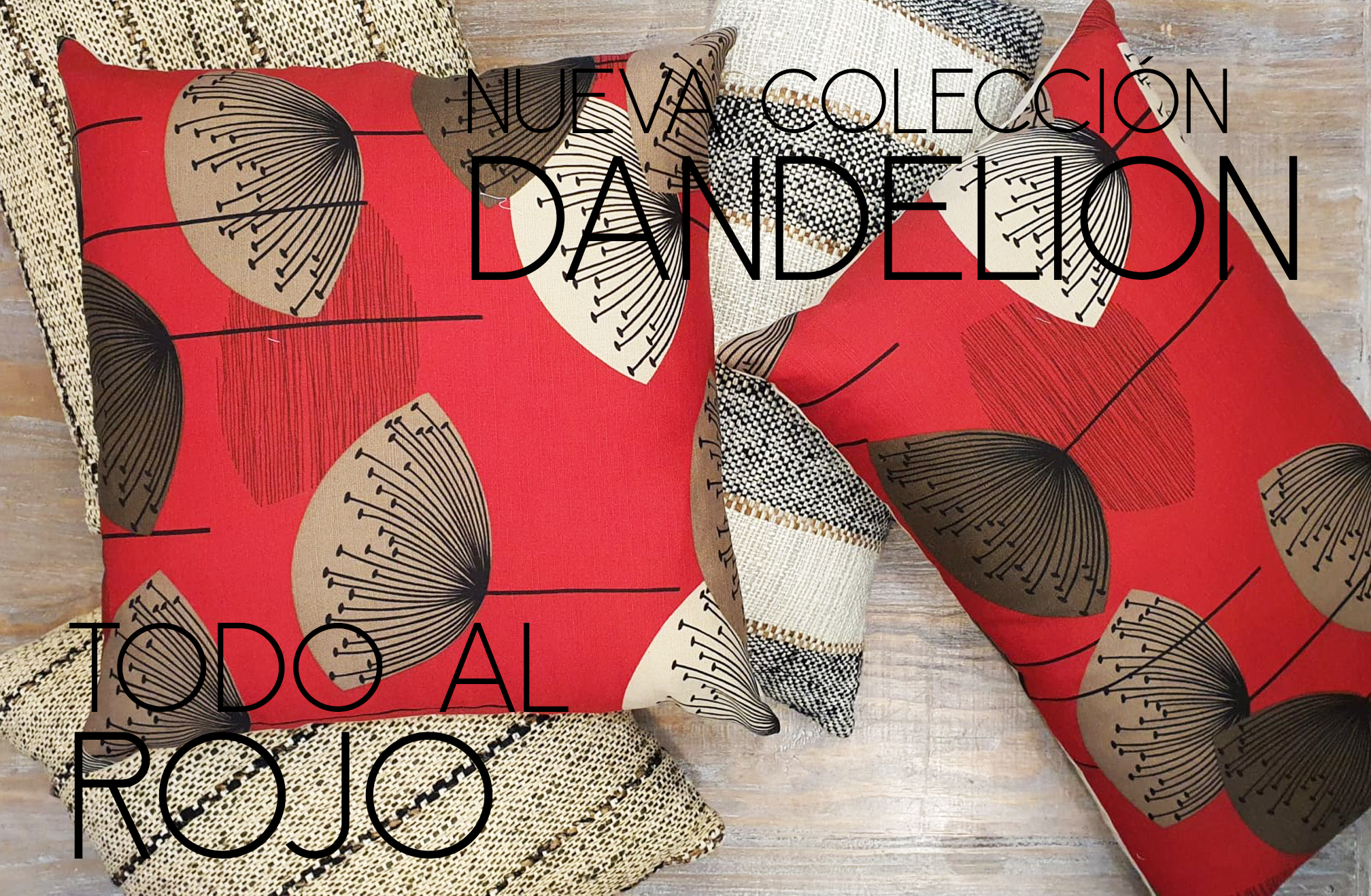 Colección Cojines Dandelion: COLECCIONES de Casa Nativa }}