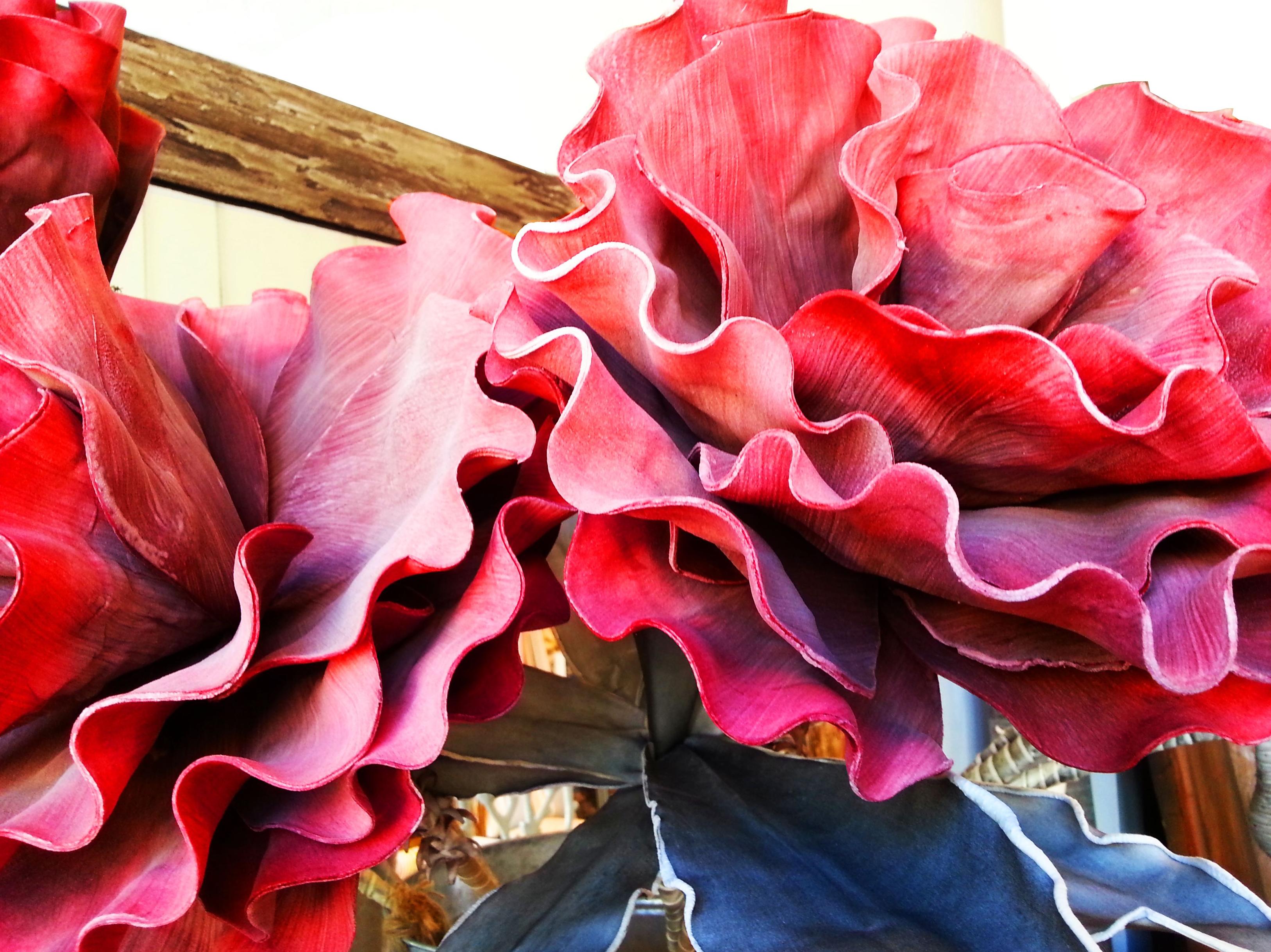 Flore de Foam Gigante Roja: COLECCIONES de Casa Nativa