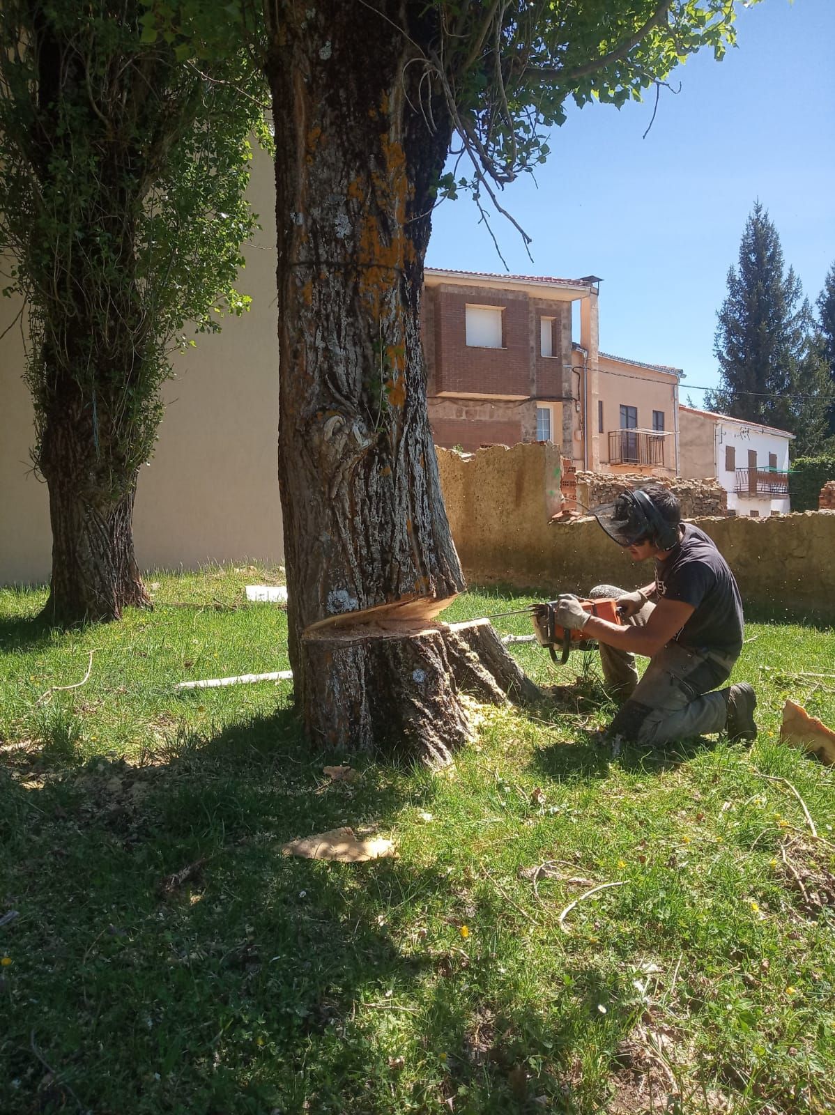 Talas: Productos y servicios de Servicios Forestales FsV Talas: Productos y servicios de Servicios Forestales FsV