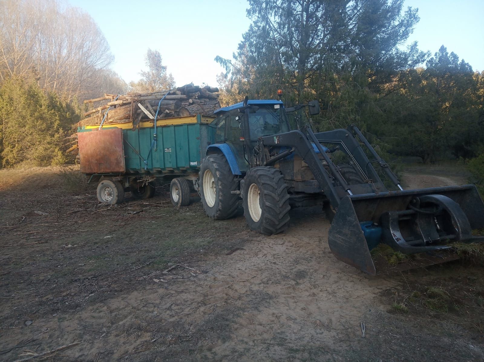 Limpieza de fincas: Productos y servicios de Servicios Forestales FsV Limpieza de fincas: Productos y servicios de Servicios Forestales FsV