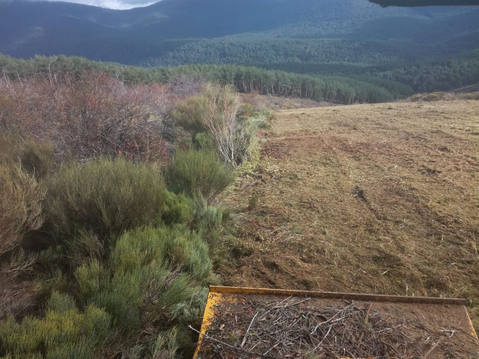 Desbroce: Productos y servicios de Servicios Forestales FsV Desbroce: Productos y servicios de Servicios Forestales FsV