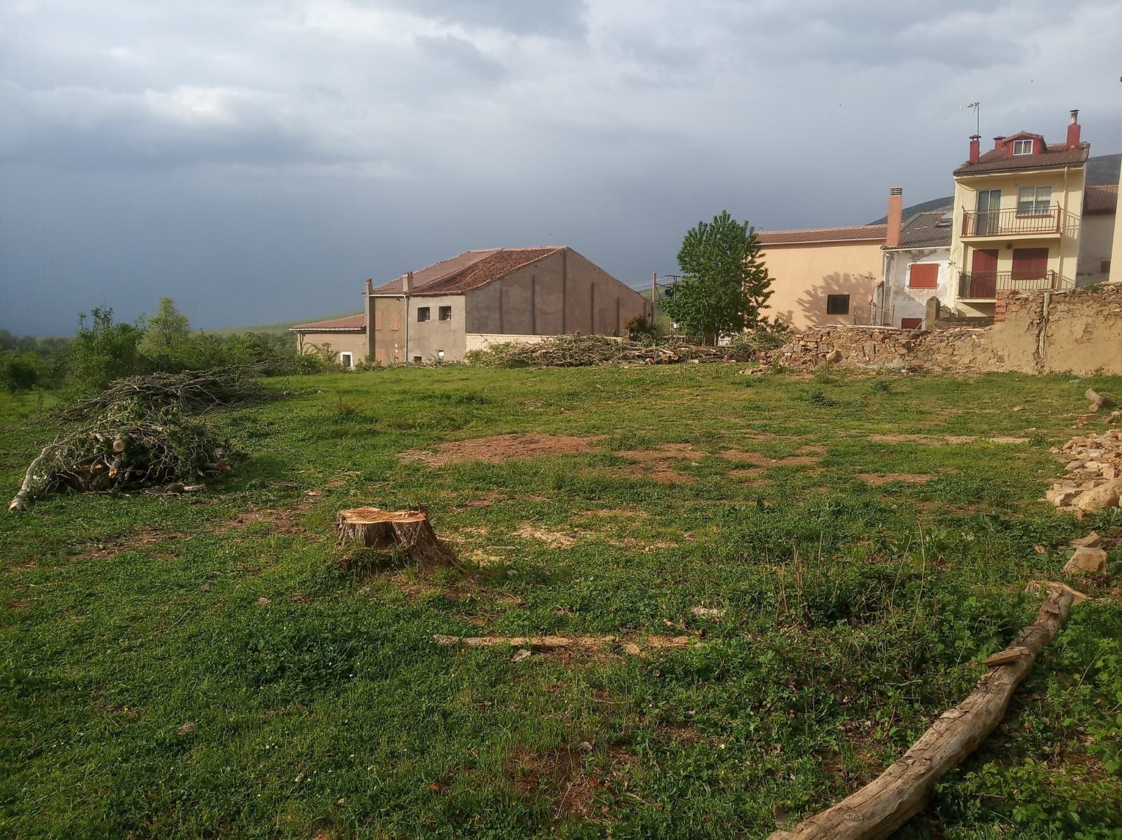 Limpieza de fincas: Productos y servicios de Servicios Forestales FsV Limpieza de fincas: Productos y servicios de Servicios Forestales FsV