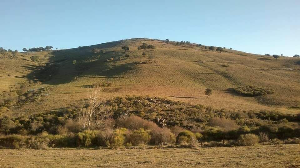 Desbroce: Productos y servicios de Servicios Forestales FsV Desbroce: Productos y servicios de Servicios Forestales FsV