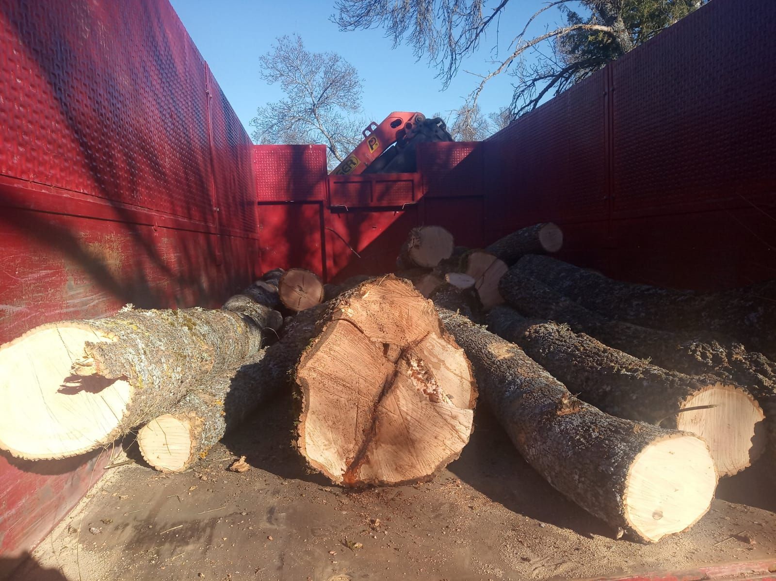 Talas: Productos y servicios de Servicios Forestales FsV Talas: Productos y servicios de Servicios Forestales FsV