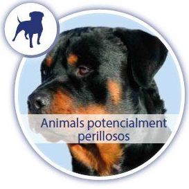 Animales Peligrosos: Servicios de CENTRE DE RECONEIXEMENT DEL CONDUCTOR DE VILA-SECA Animales Peligrosos: Servicios de CENTRE DE RECONEIXEMENT DEL CONDUCTOR DE VILA-SECA