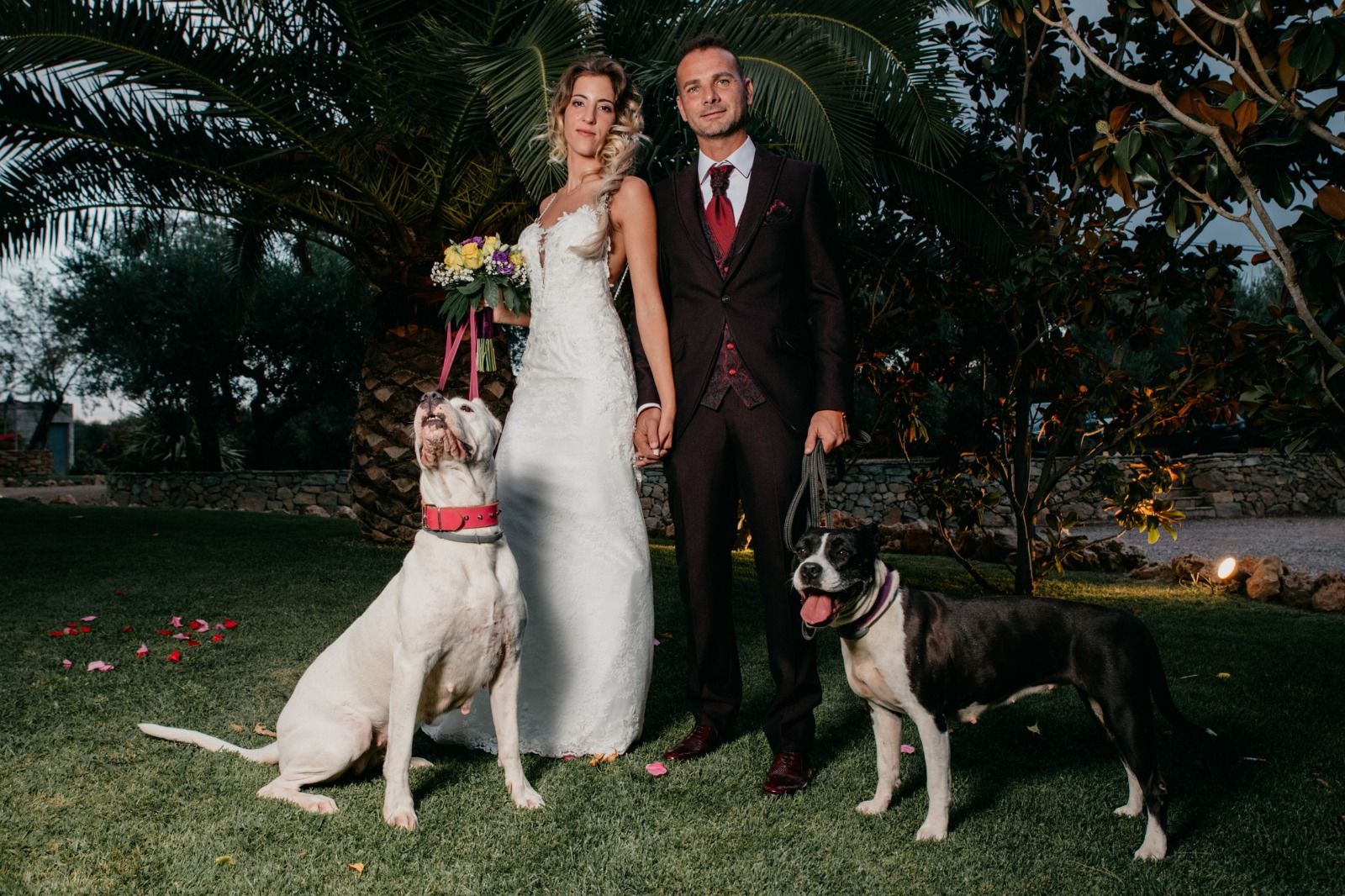 Nuestros Novios: Colecciones de Pujol Vilà Nuestros Novios: Colecciones de Pujol Vilà