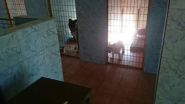 Residencia canina: Servicios de Los Tresetter Residencia canina: Servicios de Los Tresetter