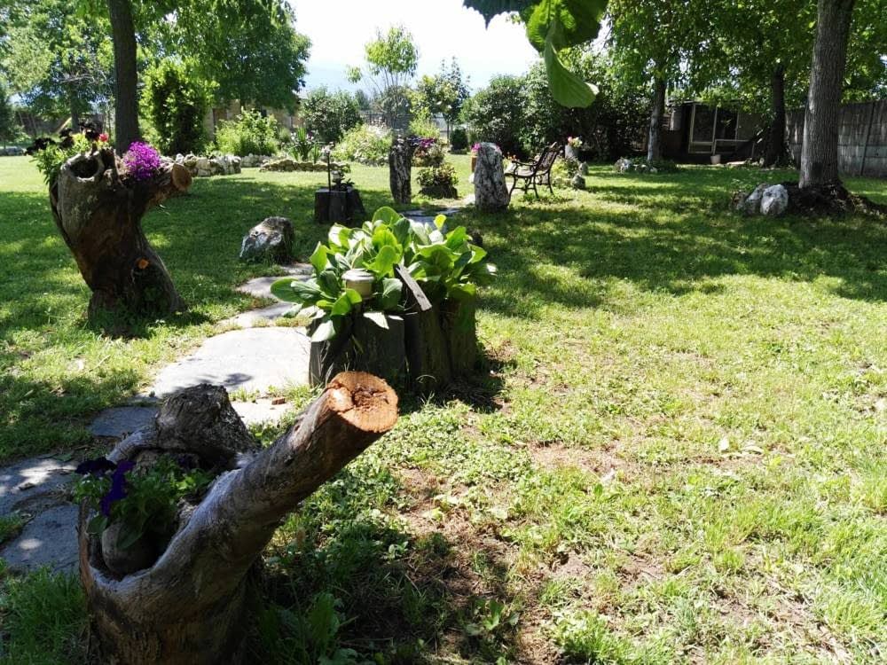 Residencia canina: Servicios de Los Tresetter Residencia canina: Servicios de Los Tresetter