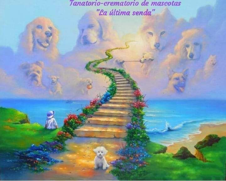 Tanatorio-crematorio de mascotas: Servicios de Los Tresetter Tanatorio-crematorio de mascotas: Servicios de Los Tresetter