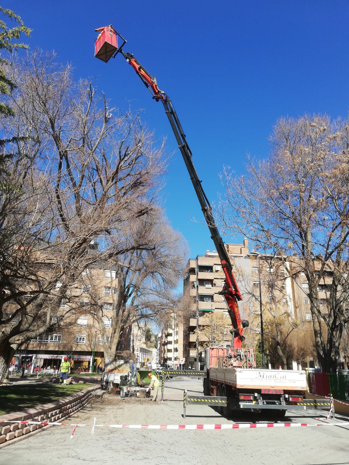 Trabajos con cesta: Servicios de Grúas Muncal Trabajos con cesta: Servicios de Grúas Muncal