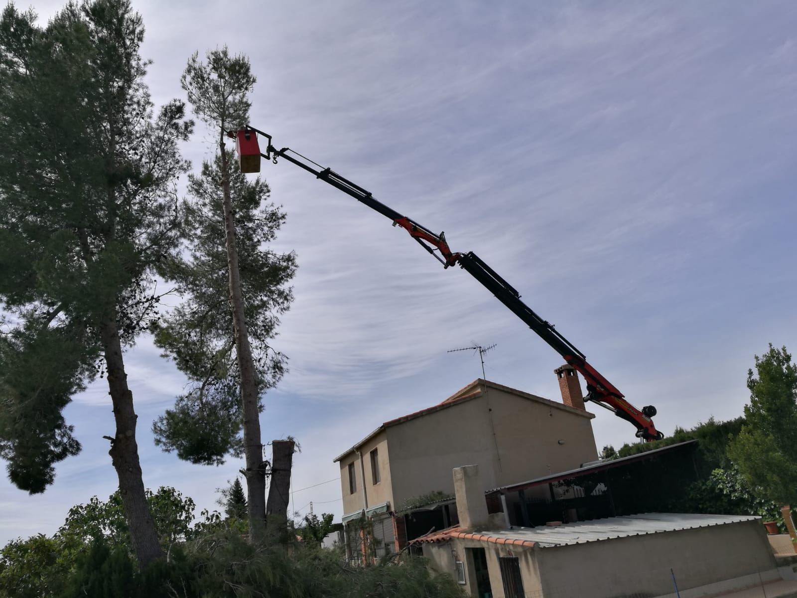 Trabajos con cesta: Servicios de Grúas Muncal Trabajos con cesta: Servicios de Grúas Muncal