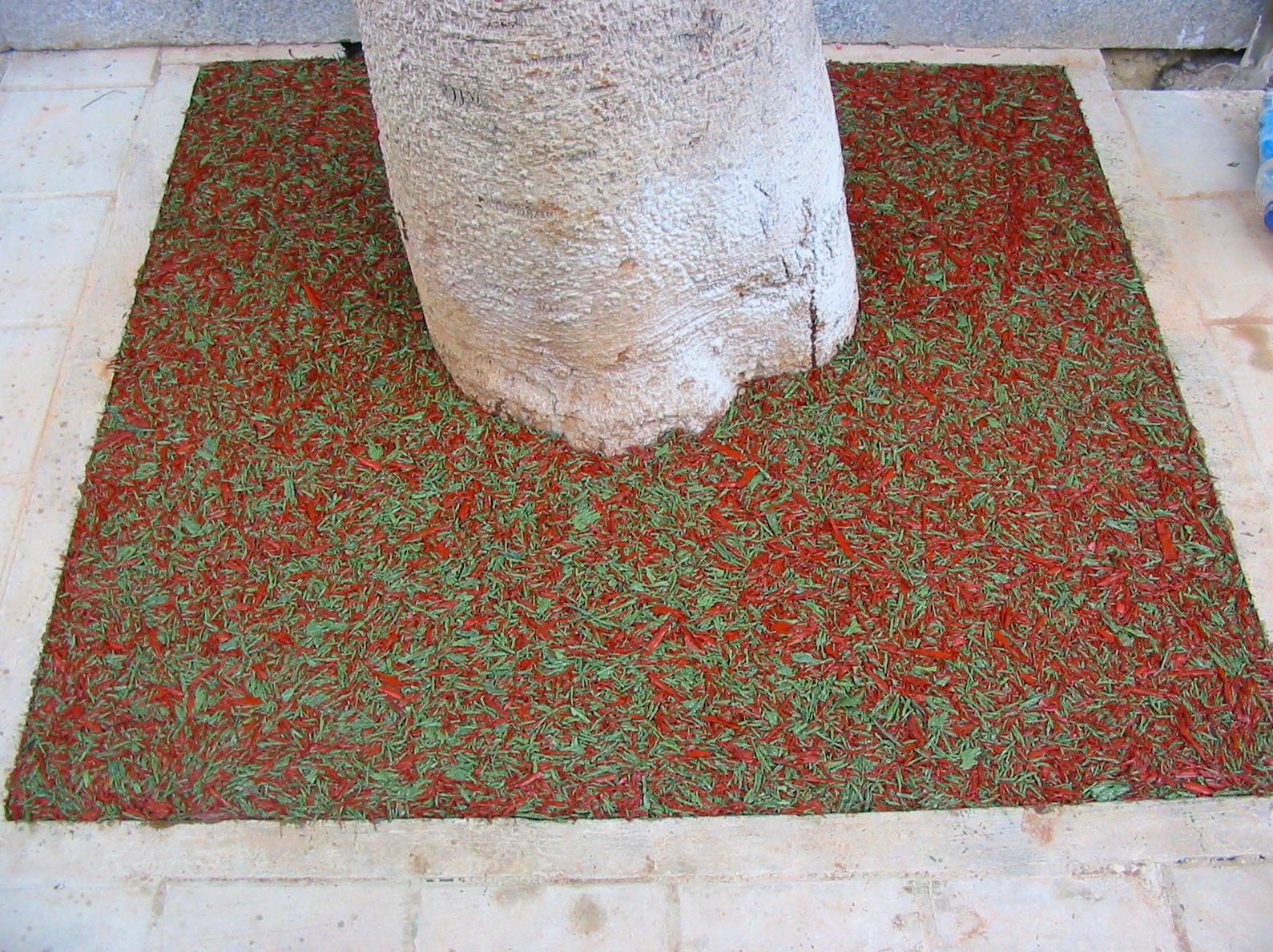 Alcorques de caucho Elastypark Fino: PRODUCTOS y SERVICIOS de Pavimentos de Caucho Alcorques de caucho Elastypark Fino: PRODUCTOS y SERVICIOS de Pavimentos de Caucho