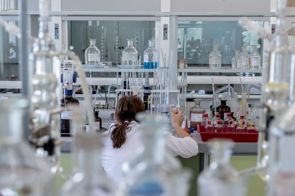 Investigación: Servicios de Labise Investigación: Servicios de Labise