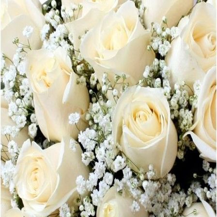 Rosas blancas: Productos de Floristería Pothos Rosas blancas: Productos de Floristería Pothos