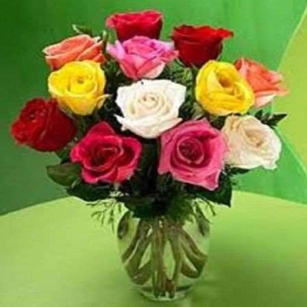 Rosas variadas: Productos de Floristería Pothos Rosas variadas: Productos de Floristería Pothos