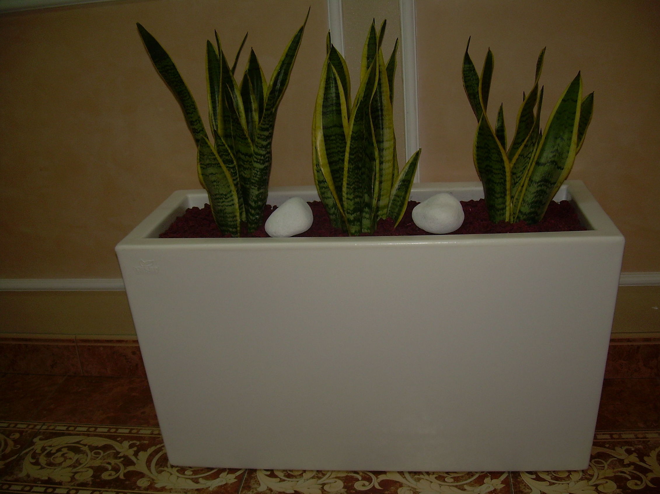 Diseño interiores: Servicios de Jardinería Sancho Diseño interiores: Servicios de Jardinería Sancho