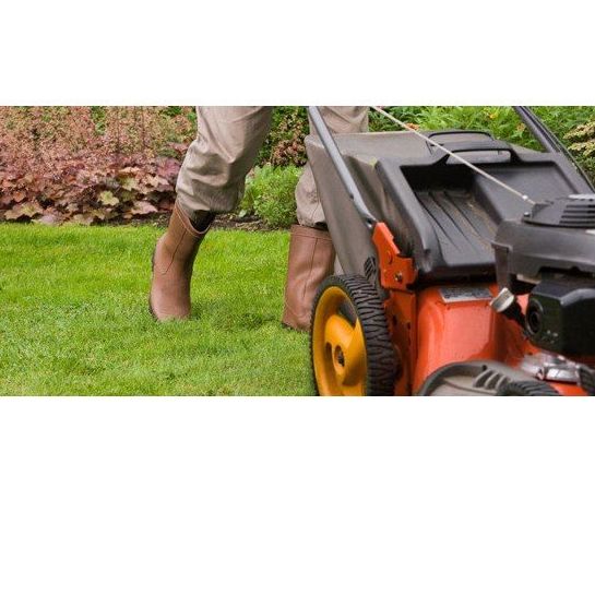 Mantenimiento: Servicios de Jardinería Sancho Mantenimiento: Servicios de Jardinería Sancho