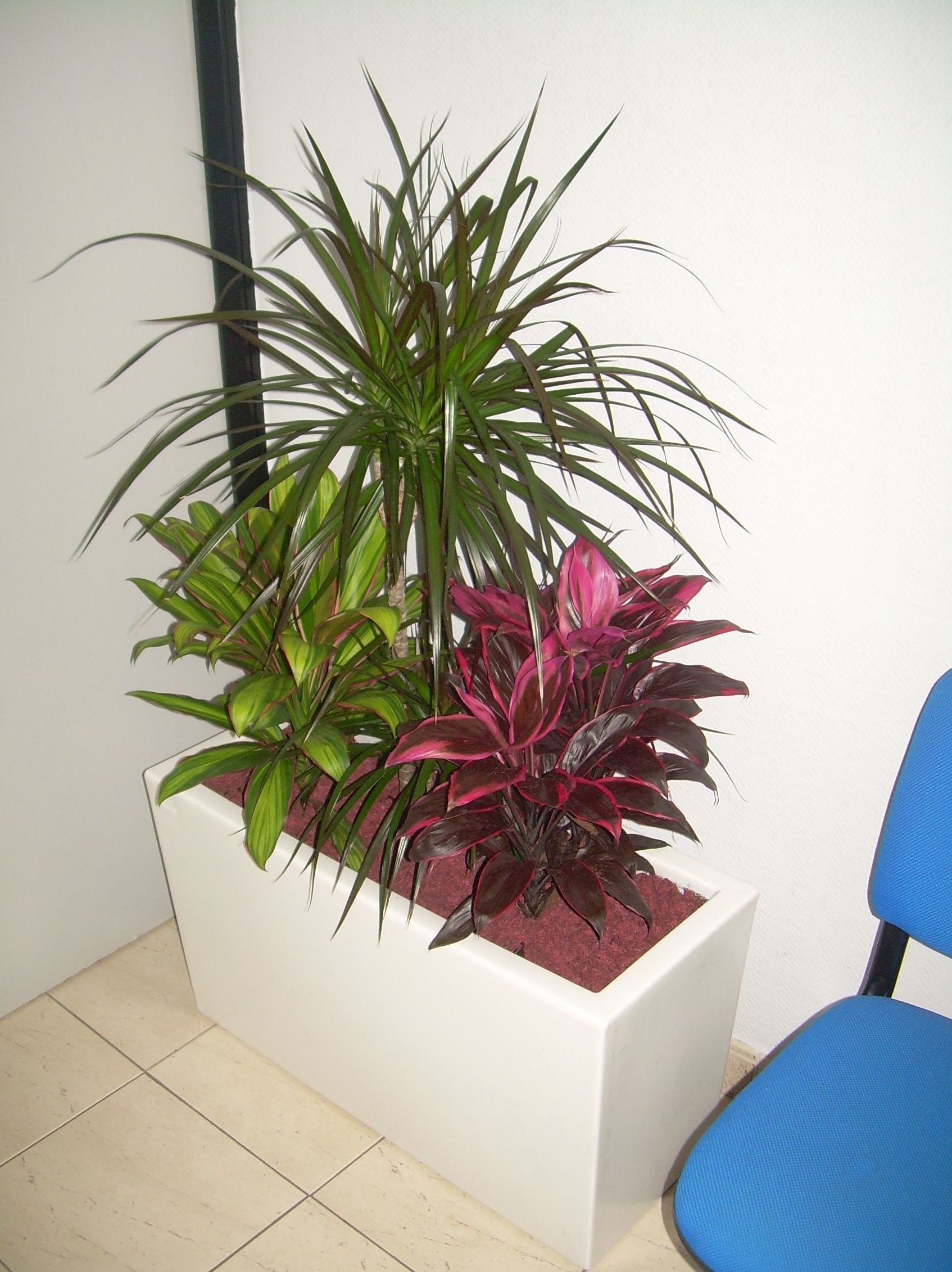 Diseño interiores: Servicios de Jardinería Sancho Diseño interiores: Servicios de Jardinería Sancho