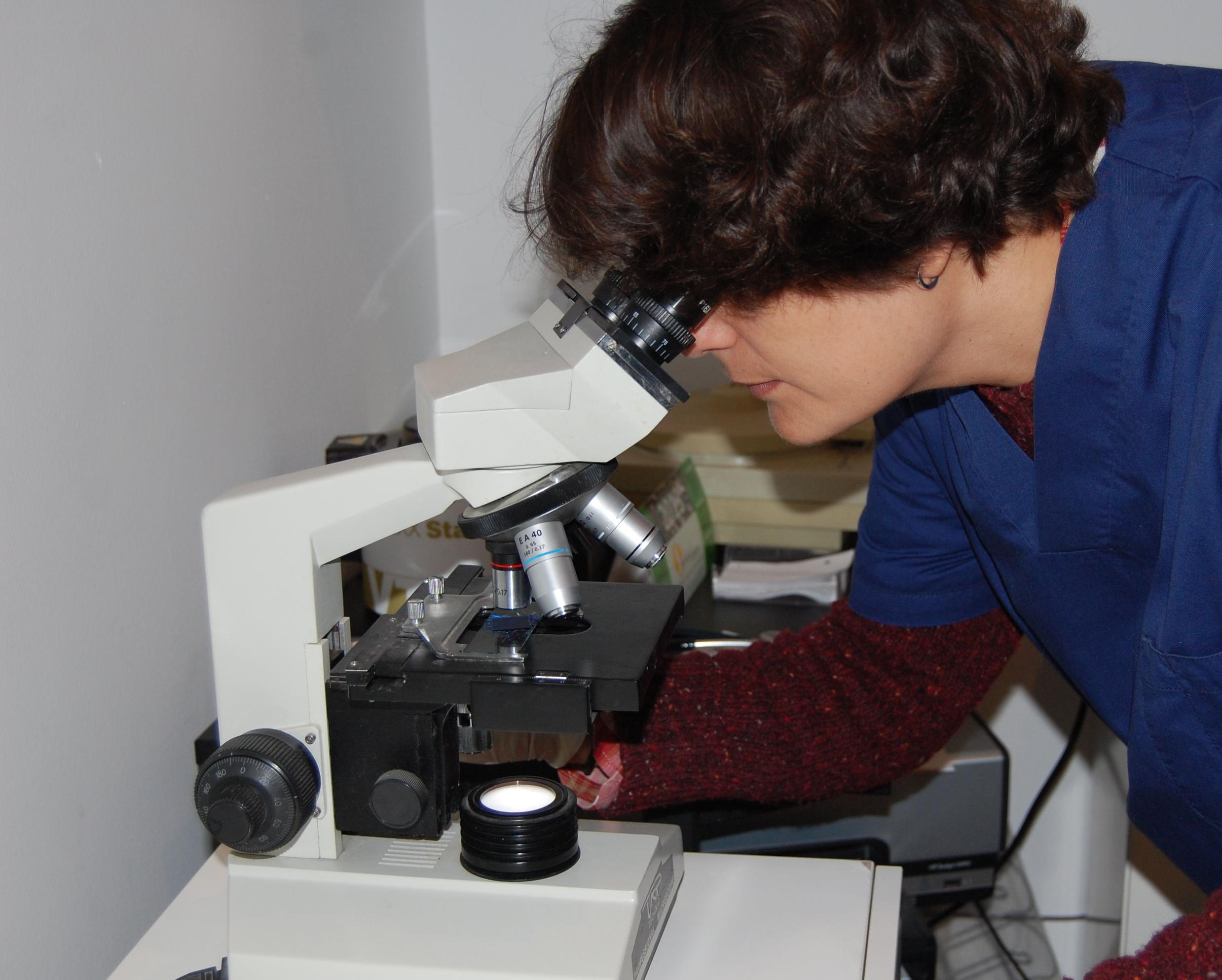 CITOLOGÍAS: SERVICIOS de C. Veterinario Triana CITOLOGÍAS: SERVICIOS de C. Veterinario Triana
