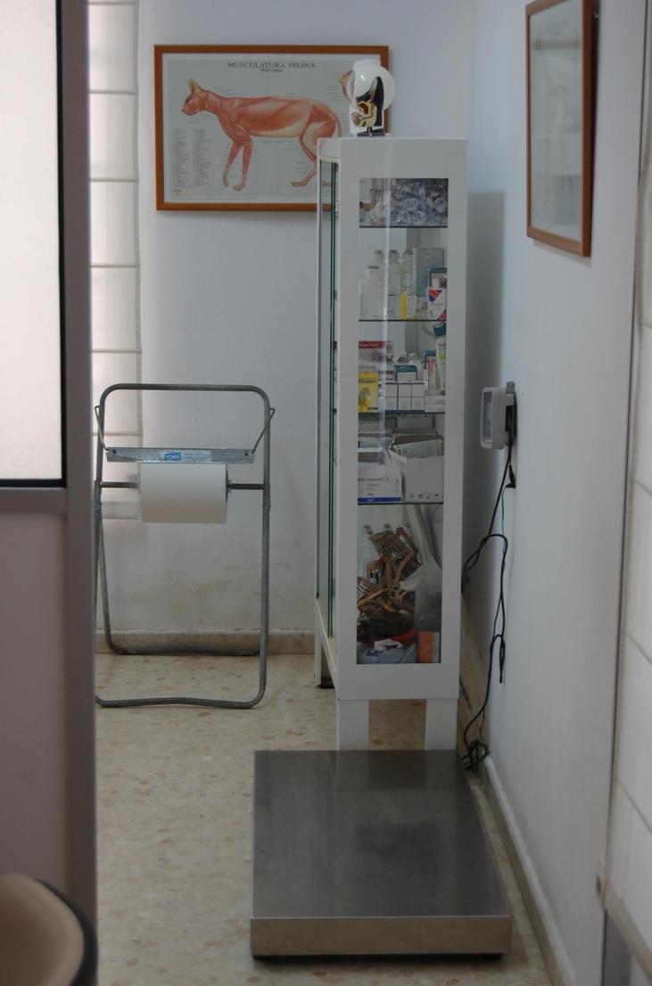 CIRUGÍA: SERVICIOS de C. Veterinario Triana CIRUGÍA: SERVICIOS de C. Veterinario Triana