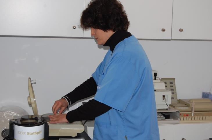ANÁLISIS: SERVICIOS de C. Veterinario Triana ANÁLISIS: SERVICIOS de C. Veterinario Triana