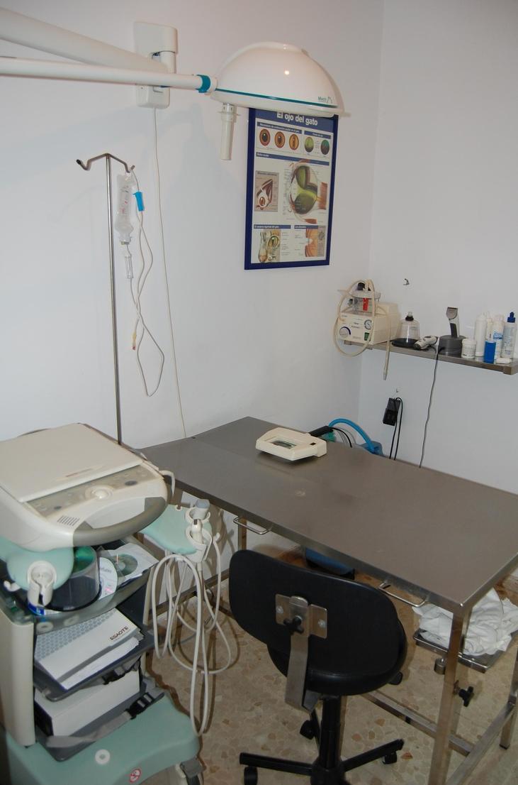 CIRUGÍA: SERVICIOS de C. Veterinario Triana CIRUGÍA: SERVICIOS de C. Veterinario Triana