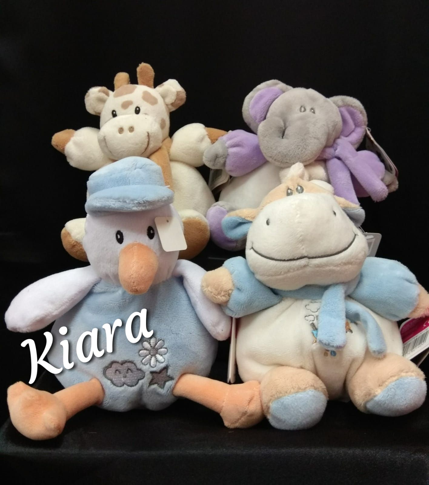 Peluches: Productos de Floristería Kiara Peluches: Productos de Floristería Kiara