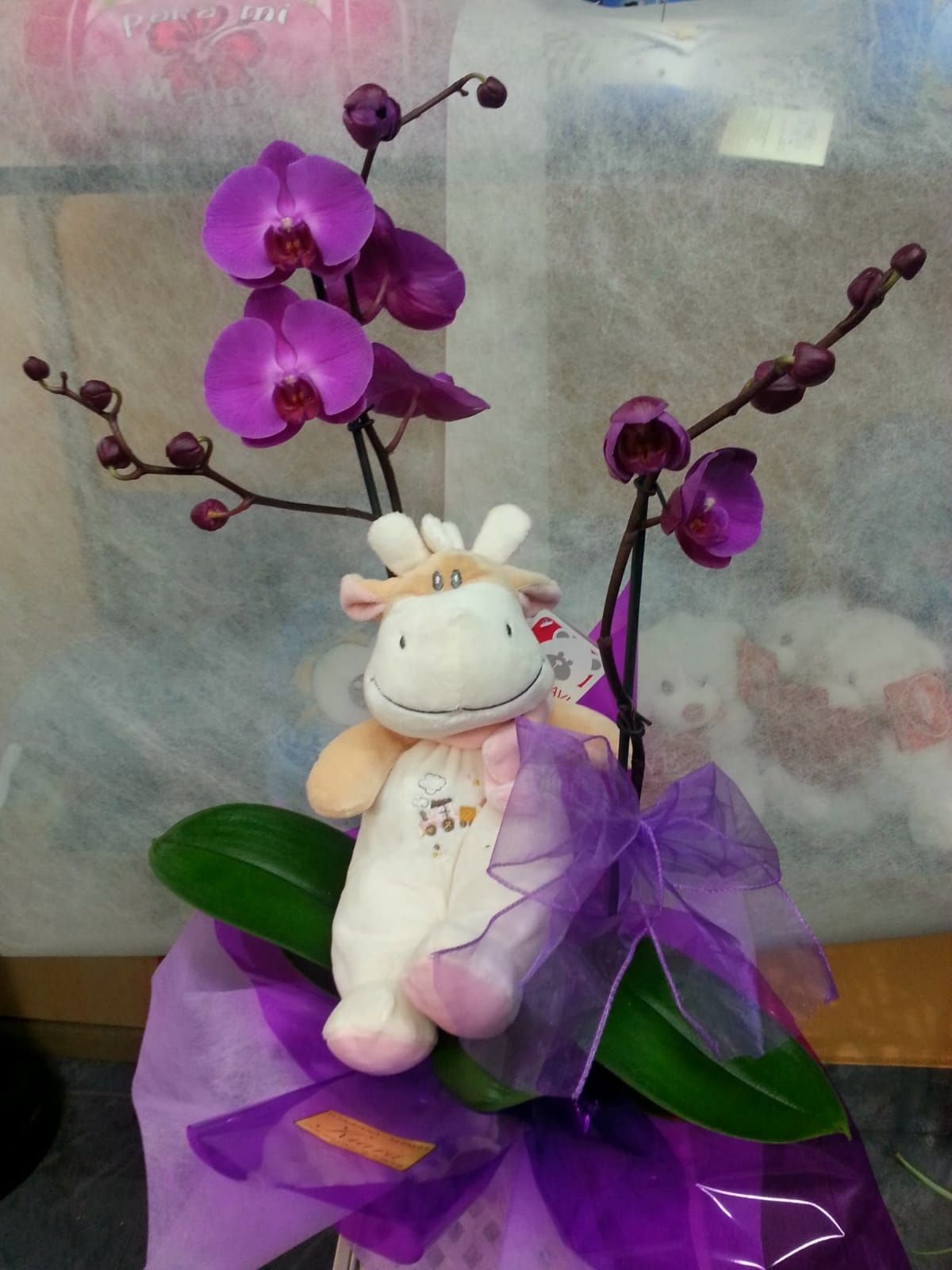 Peluches: Productos de Floristería Kiara Peluches: Productos de Floristería Kiara