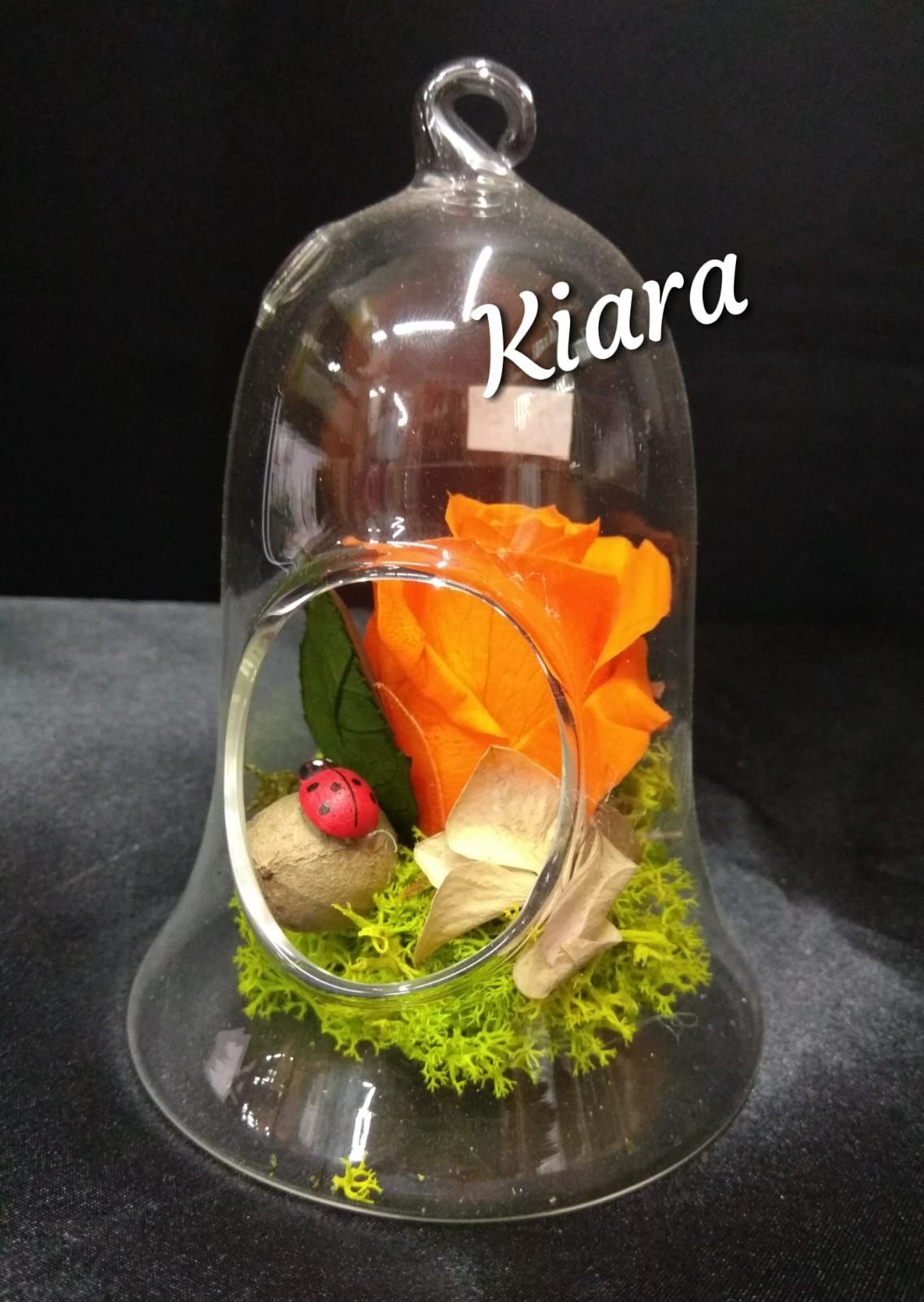 Preservados: Productos de Floristería Kiara Preservados: Productos de Floristería Kiara