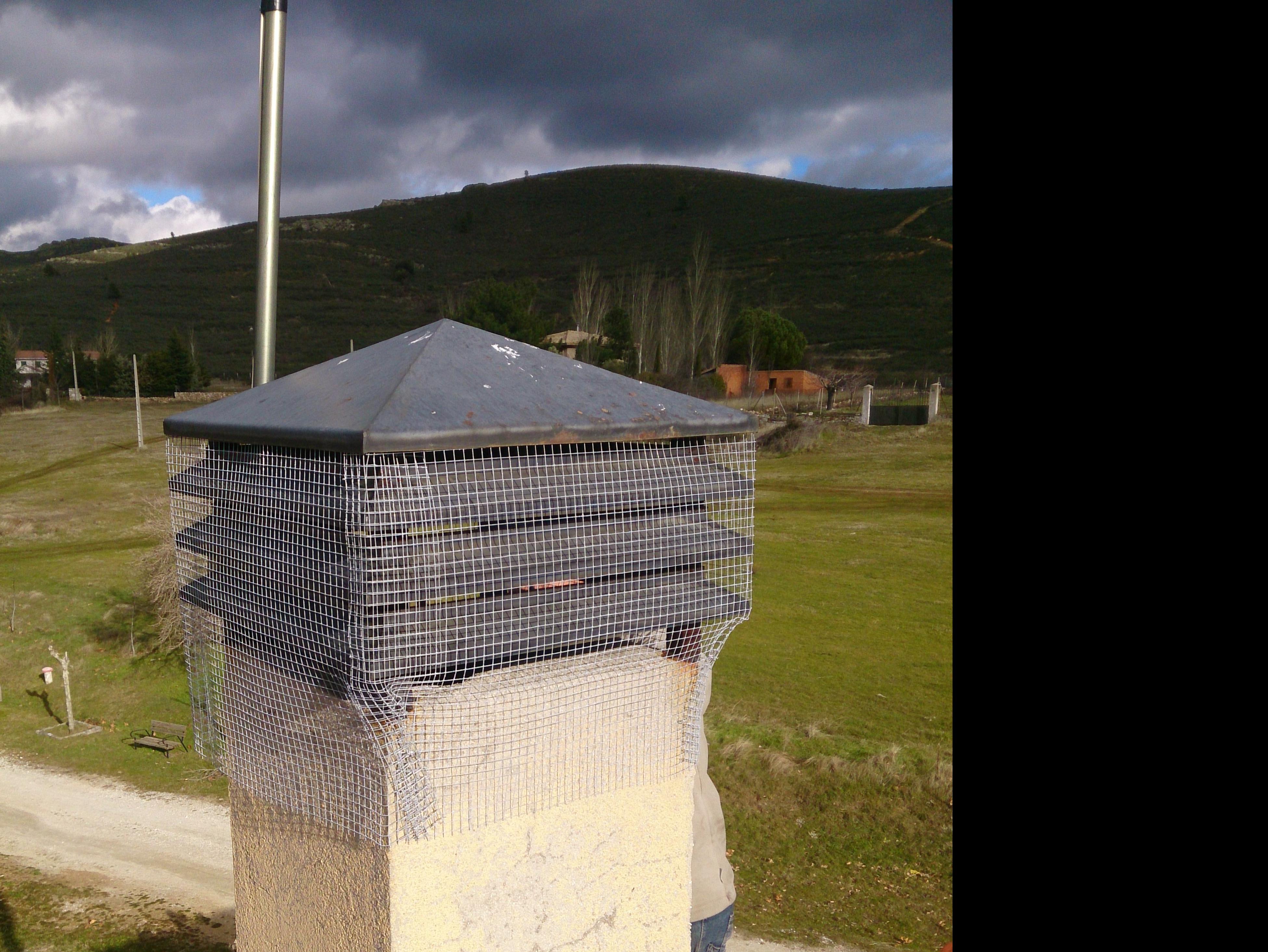 solución para los nidos de pájaros solución para los nidos de pájaros