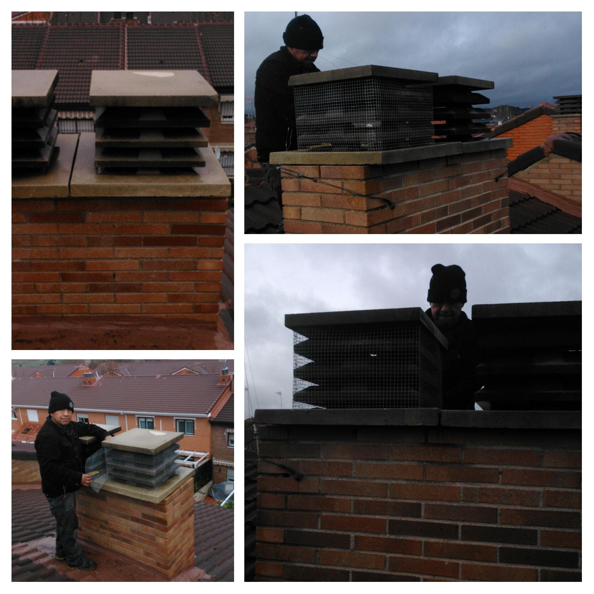 solución a los nidos dentro de la chimenea solución a los nidos dentro de la chimenea