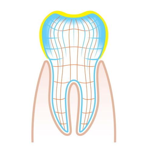 Endodoncias: Servicios de Lorena Mª Sánchez Liñán Endodoncias: Servicios de Lorena Mª Sánchez Liñán