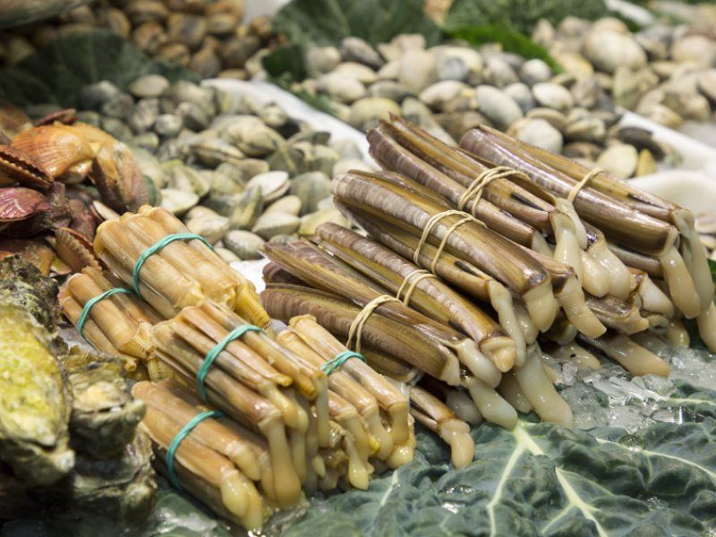 Encargos: Productos y servicios de Mariscos Pi Encargos: Productos y servicios de Mariscos Pi