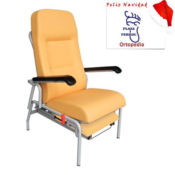 Sillón con respaldo reclinable Sillón con respaldo reclinable