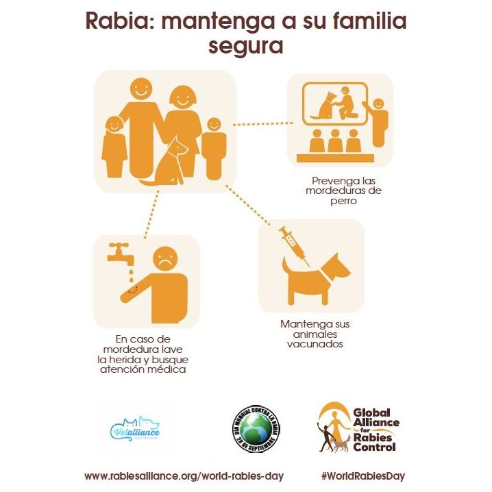 Vacunación: Servicios de Vetalliance Reus Clínica Veterinaria Vacunación: Servicios de Vetalliance Reus Clínica Veterinaria