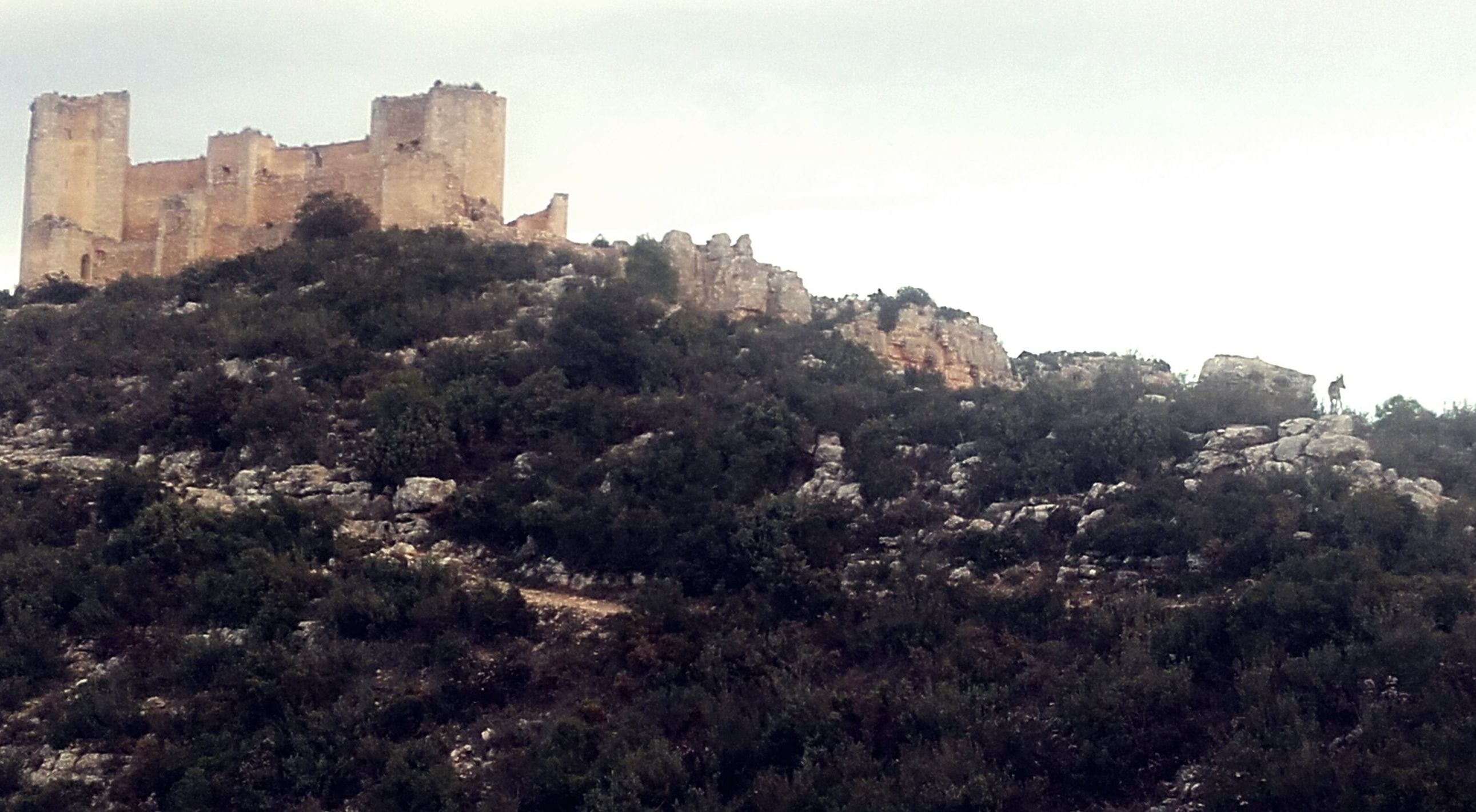 Castillo de Chirel Castillo de Chirel