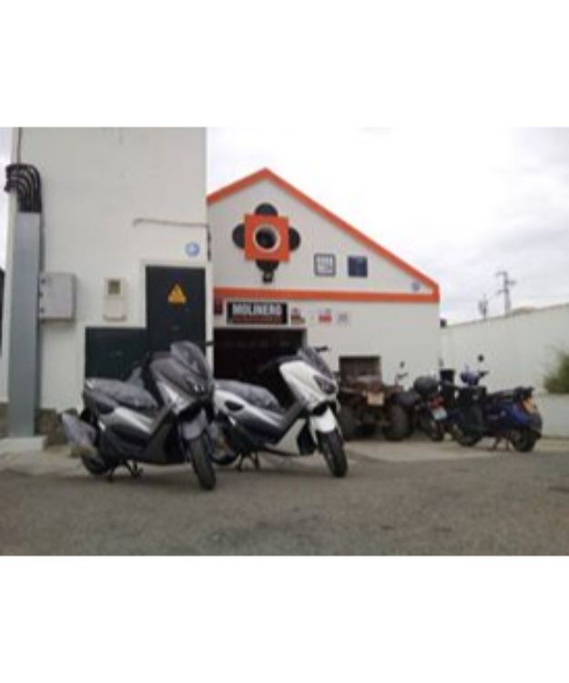 Motocicleta: Servicios de MOLINERO MOTOTALLER Motocicleta: Servicios de MOLINERO MOTOTALLER