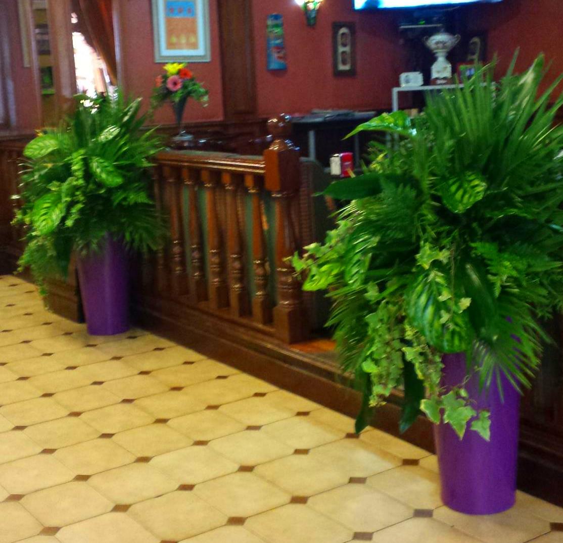 Decoracion bar: Servicios de Arte Flor Decoracion bar: Servicios de Arte Flor