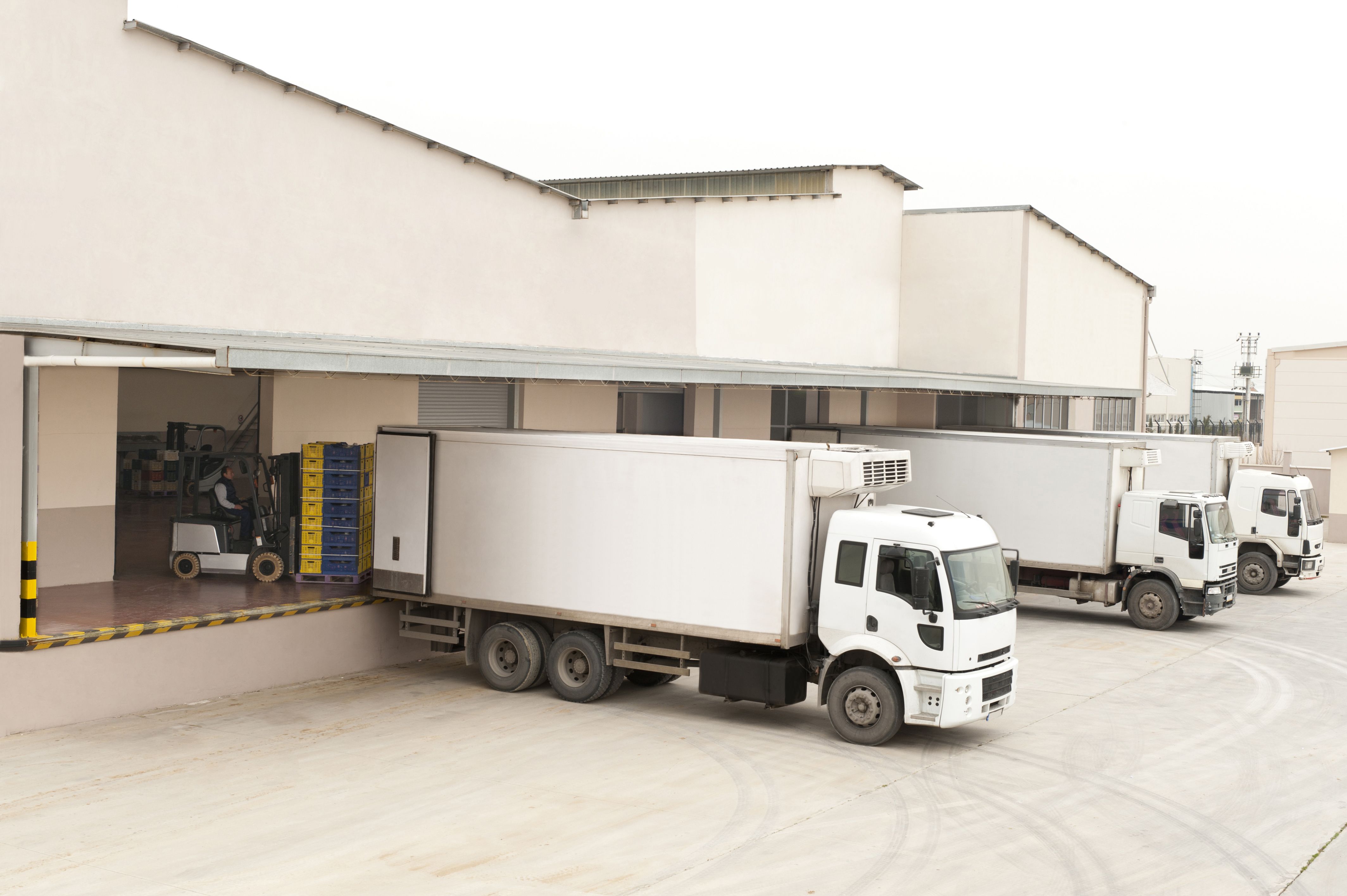 Flota: Servicios de Transerrasol Flota: Servicios de Transerrasol
