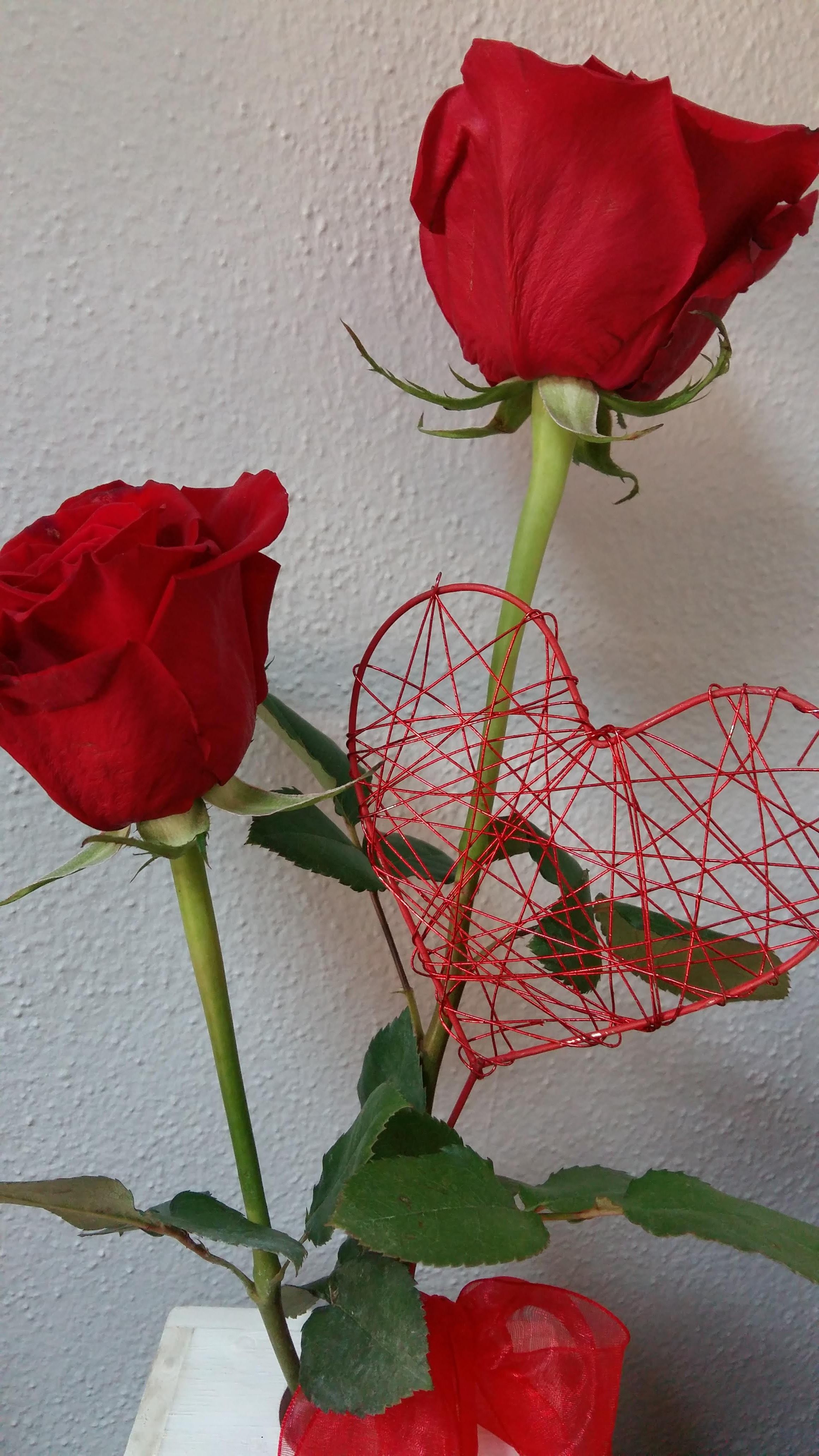 San Valentín: Servicios de Girasoles Arte Floral San Valentín: Servicios de Girasoles Arte Floral