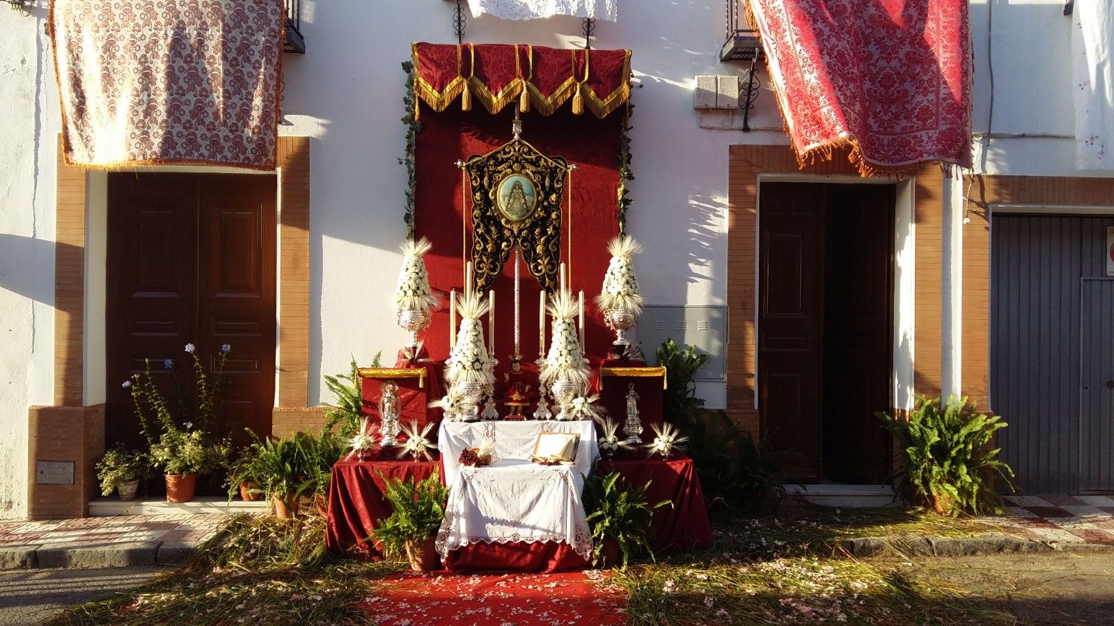 Especial Hermandades: Servicios de Girasoles Arte Floral Especial Hermandades: Servicios de Girasoles Arte Floral
