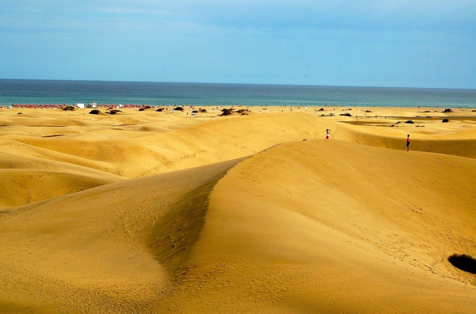 Destino - Destination: Playa del Inglés, Maspalomas / Beach of Inglés: Precios - Servicios y Reservas de Reservas Taxis Las Palmas de Gran Canaria, Puertos y Aeropuerto. Bookings of Transfers by Gran Canaria Destino - Destination: Playa del Inglés, Maspalomas / Beach of Inglés: Precios - Servicios y Reservas de Reservas Taxis Las Palmas de Gran Canaria, Puertos y Aeropuerto. Bookings of Transfers by Gran Canaria