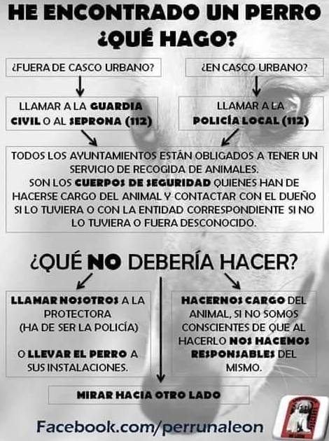 Foto 12 de Veterinarios en Puerito de Güímar | Veterinario El Puertito