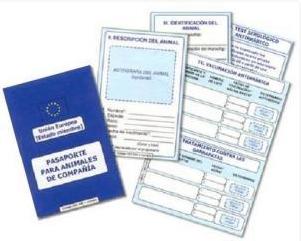 Microchips, certificados oficiales, pasaportes: Productos y servicios de Veterinario El Puertito Microchips, certificados oficiales, pasaportes: Productos y servicios de Veterinario El Puertito