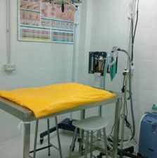 Cirugías: Productos y servicios de Veterinario El Puertito Cirugías: Productos y servicios de Veterinario El Puertito