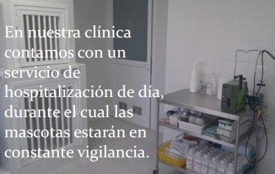 Hospitalización: Productos y servicios de Veterinario El Puertito Hospitalización: Productos y servicios de Veterinario El Puertito