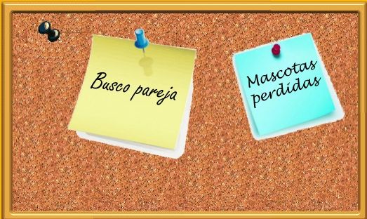 Tablón de anuncios: Productos y servicios de Veterinario El Puertito Tablón de anuncios: Productos y servicios de Veterinario El Puertito