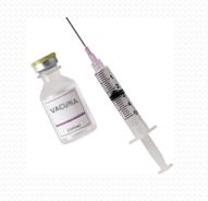 Información: Productos y servicios de Veterinario El Puertito Información: Productos y servicios de Veterinario El Puertito