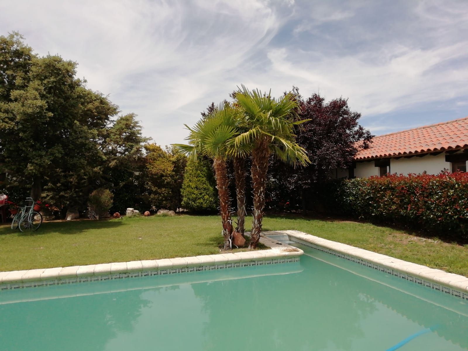 Piscina y zona exterior: Hotel 2 estrellas de Cortijo Macoterano Piscina y zona exterior: Hotel 2 estrellas de Cortijo Macoterano